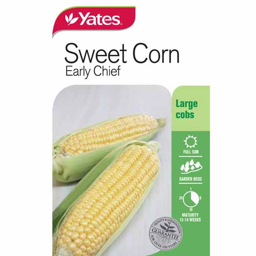 yates-vegetable-seed-sweet-corn-early-chief