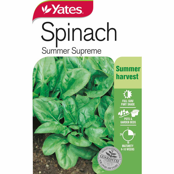 yates-vegetable-seed-spinach-'summer-supreme'