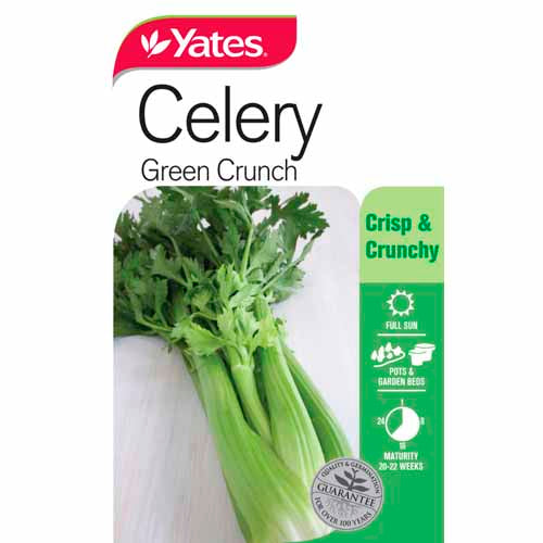 yates-vegetable-seed-celery-'green-crunch'