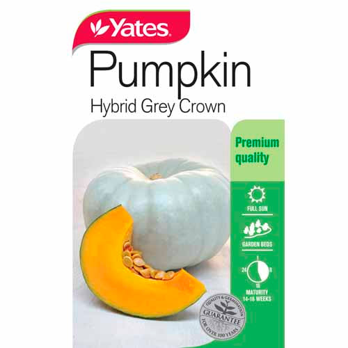 yates-vegetable-seed-pumpkin-'hybrid-grey-crown'