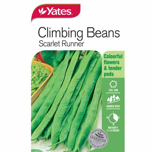 yates-vegetable-seed-beans-scarlet-runner-climbing