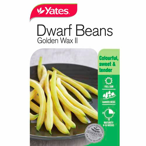 yates-vegetable-seed-beans-golden-wax-dwarf-variety