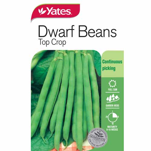 yates-vegetable-seed-beans-top-crop-dwarf-variety