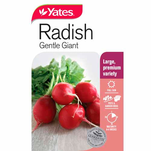 yates-vegetable-seed-radish-'gentle-giant'