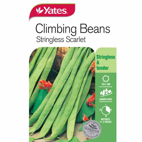 yates-vegetable-seed-beans-string-less-scarlet-climbing