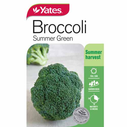 yates-vegetable-seed-broccoli-summer-green