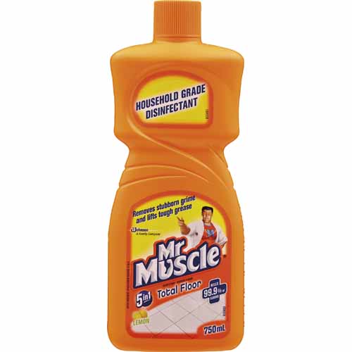 mr-muscle-floor-cleaner-750ml