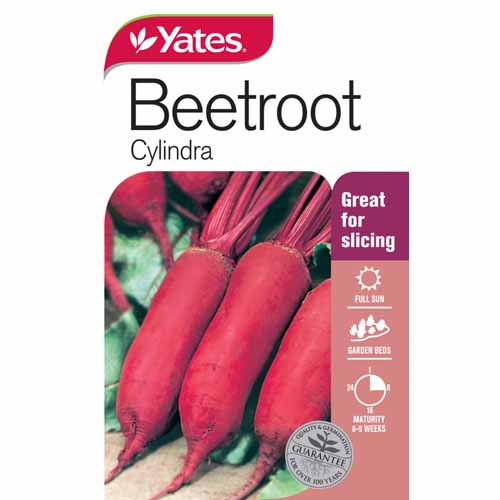 yates-vegetable-seed-beetroot-cylindra