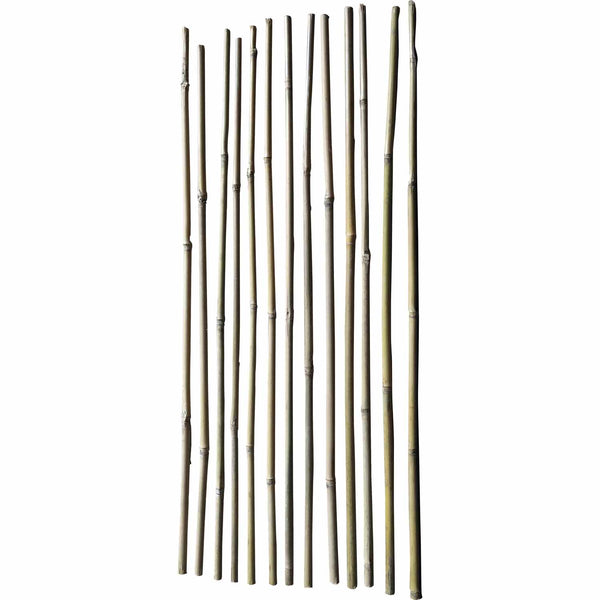 number-8-bamboo-cane-garden-stakes-0.6m-natural