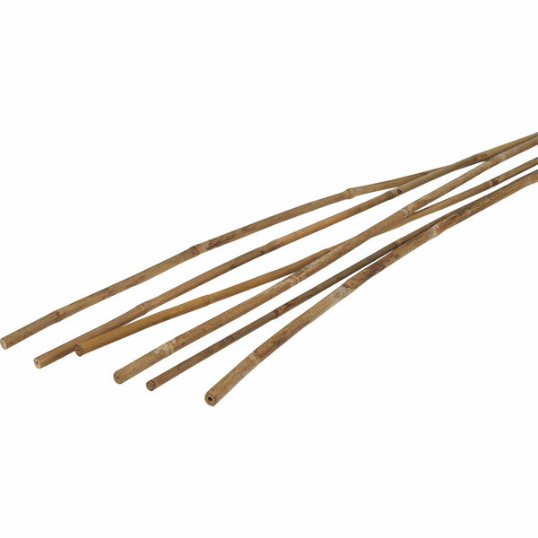 number-8-bamboo-cane-garden-stakes-2.4m-natural