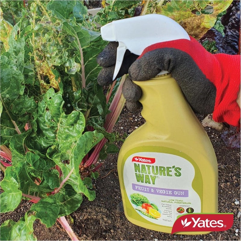 yates-nature's-way-fruit-&-vegie-insecticide-ready-to-use-gun-750ml