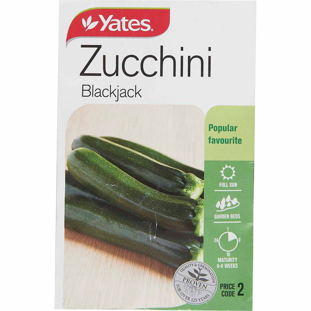 Yates Vegetable Seed Zucchini Blackjack