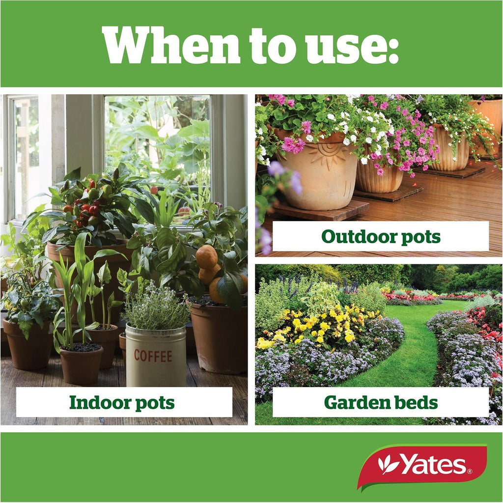 yates-acticote-fertiliser-slow-release-pots,-planters-&-garden-beds-500g