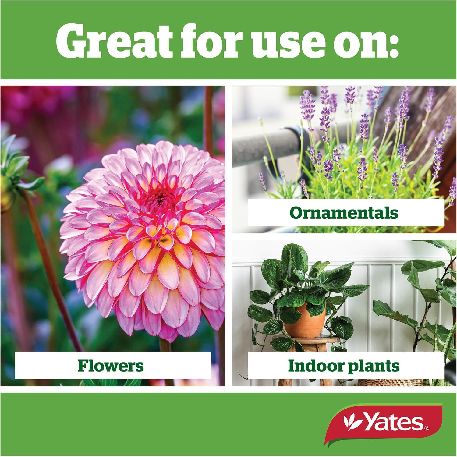 yates-acticote-fertiliser-slow-release-pots,-planters-&-garden-beds-500g