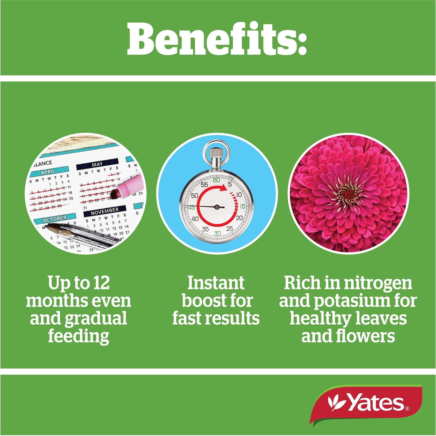 yates-acticote-fertiliser-slow-release-pots,-planters-&-garden-beds-500g