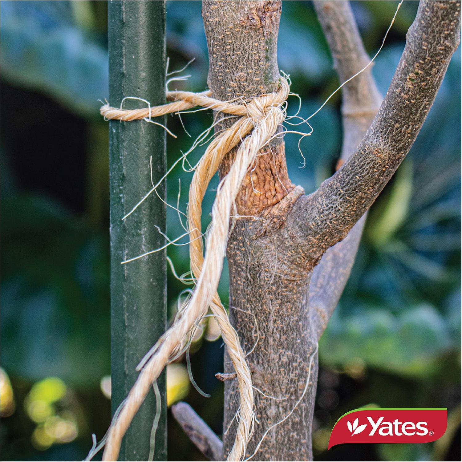 yates-garden-twine-100m