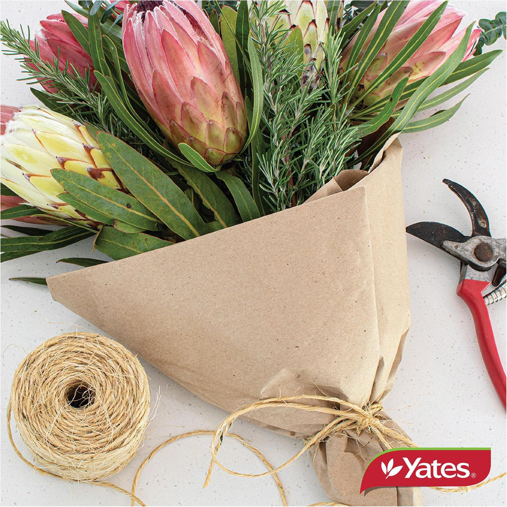 yates-garden-twine-100m