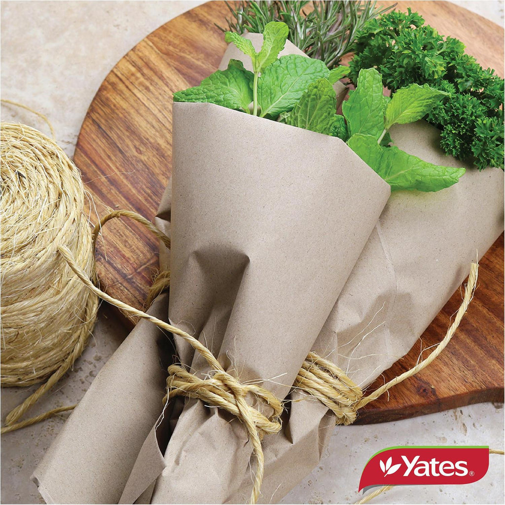 yates-garden-twine-100m
