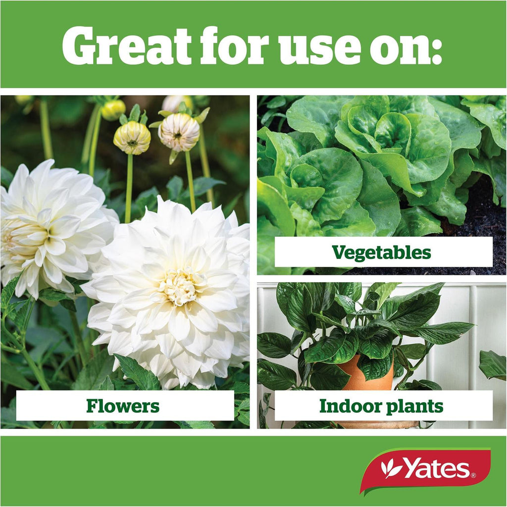 yates-thrive-all-purpose-liquid-plant-food-500ml-concentrate