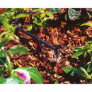 neta-snap-dripper-4lph-black