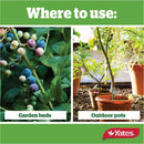 yates-thrive-camellia,-gardenia-&-blueberry-fertiliser-granules-2kg