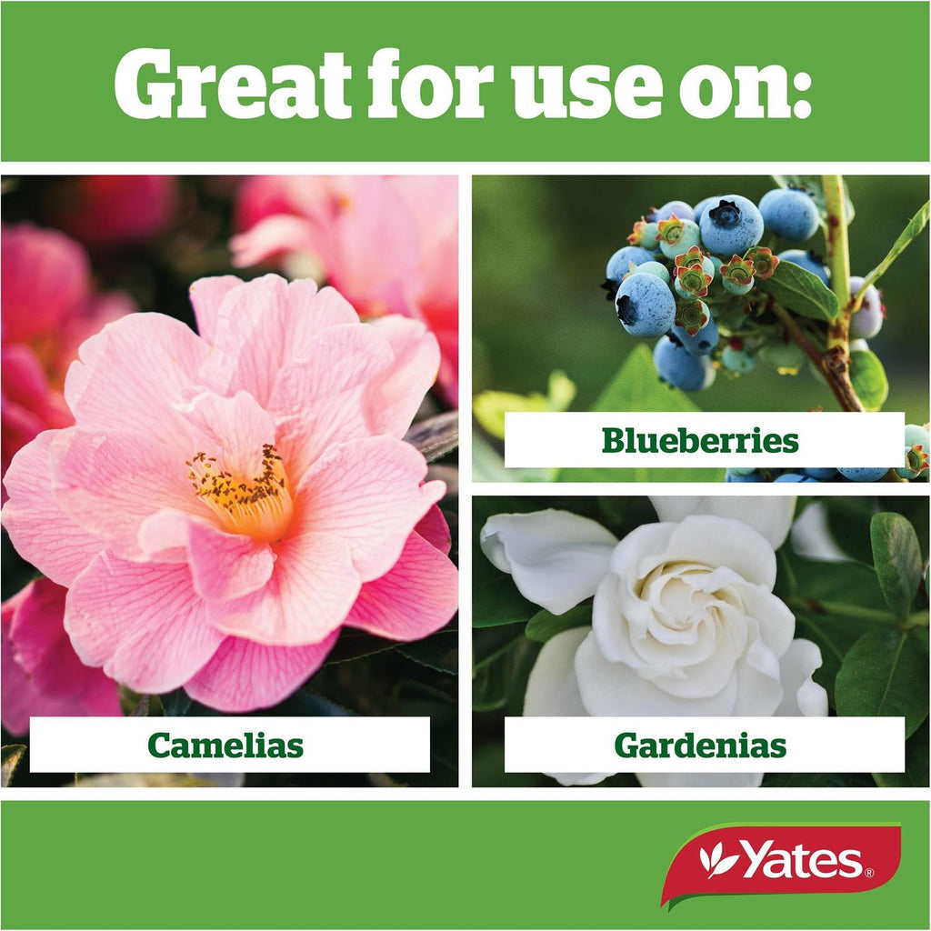yates-thrive-camellia,-gardenia-&-blueberry-fertiliser-granules-2kg