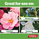 yates-thrive-camellia,-gardenia-&-blueberry-fertiliser-granules-2kg