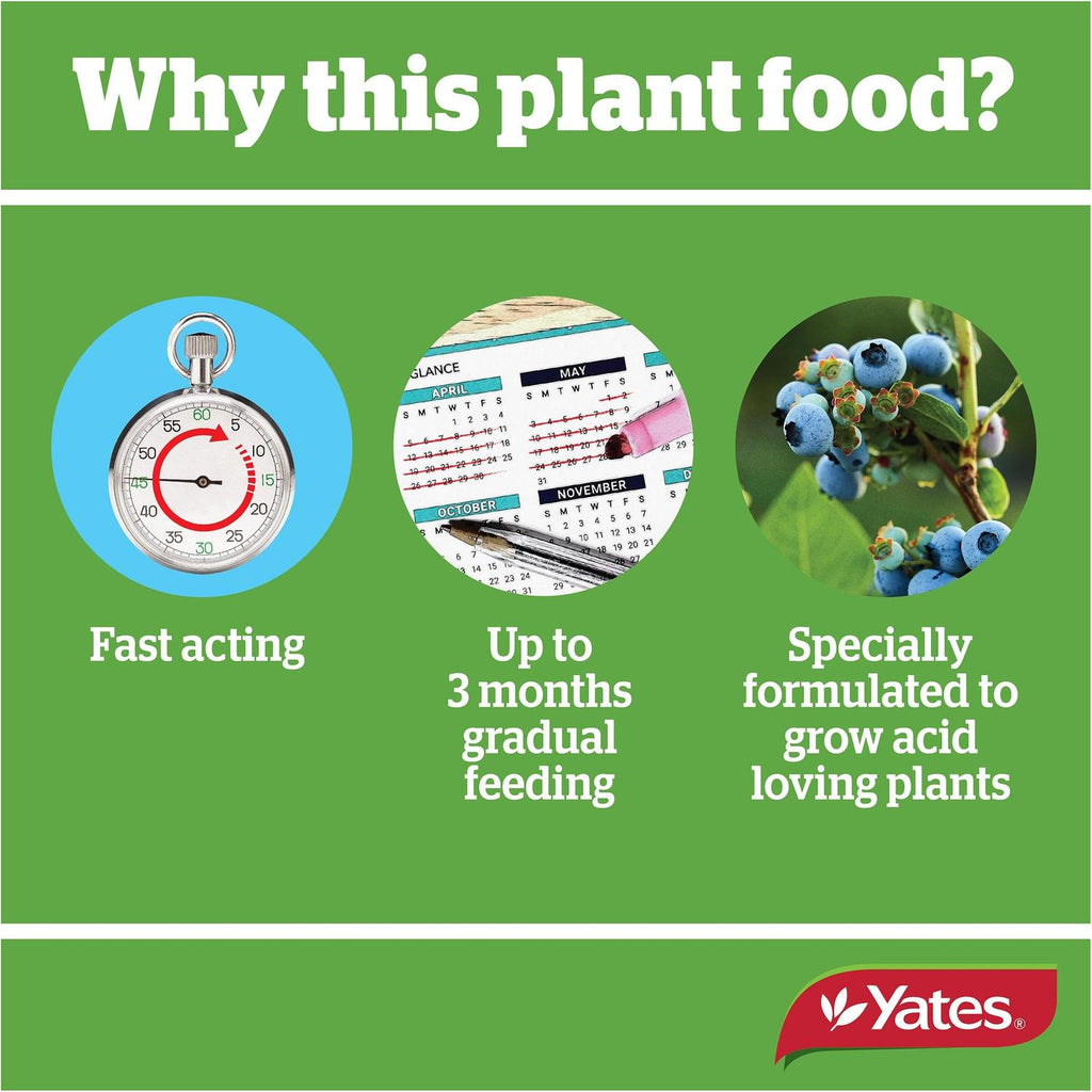 yates-thrive-camellia,-gardenia-&-blueberry-fertiliser-granules-2kg