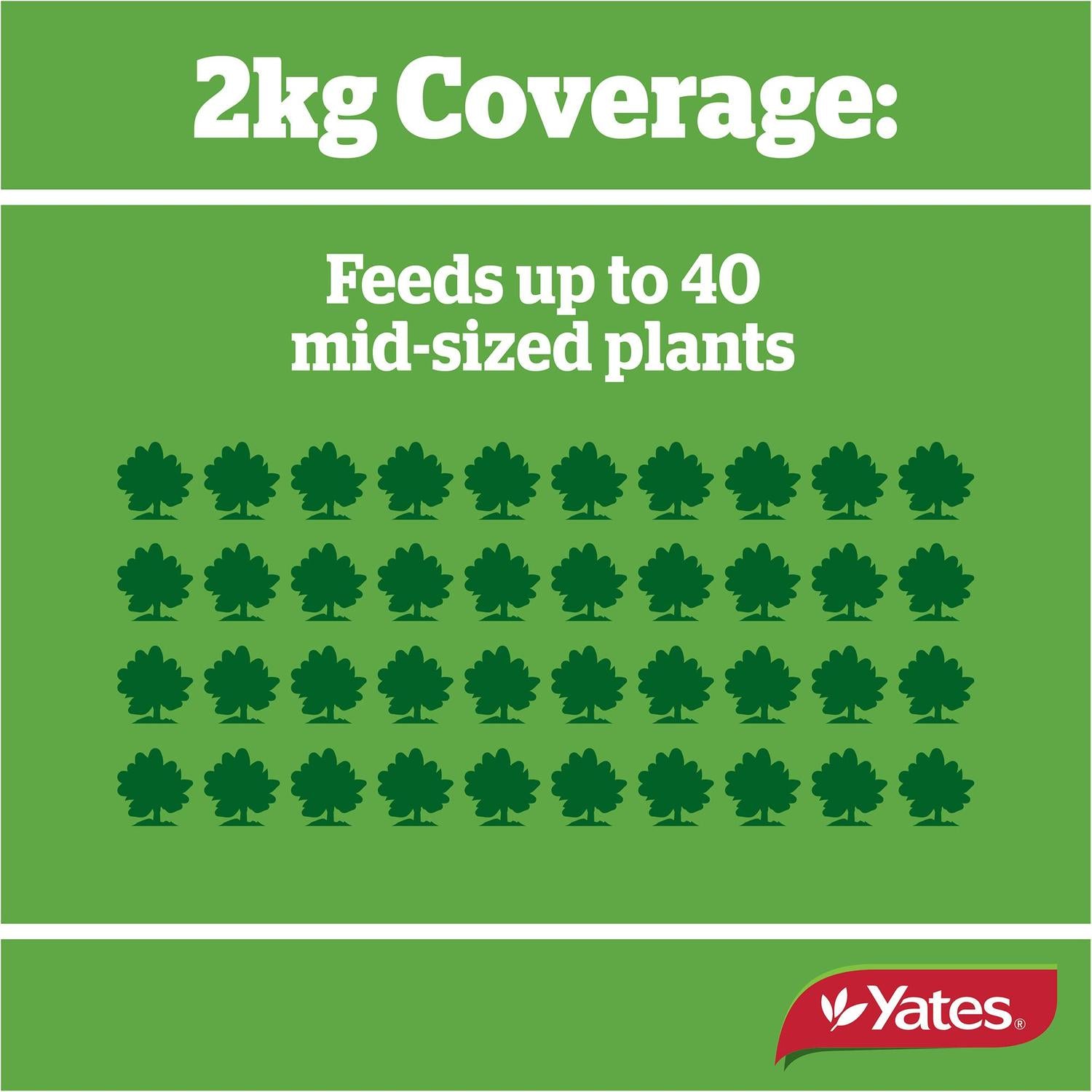 yates-thrive-camellia,-gardenia-&-blueberry-fertiliser-granules-2kg