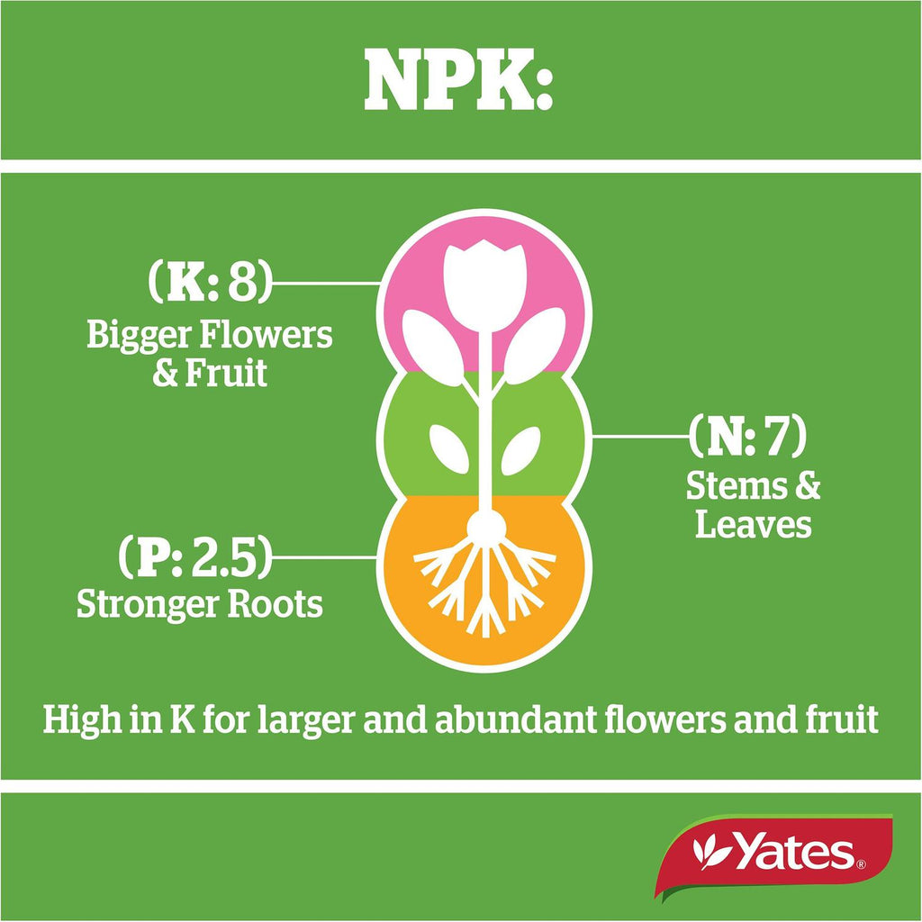 yates-thrive-camellia,-gardenia-&-blueberry-fertiliser-granules-2kg