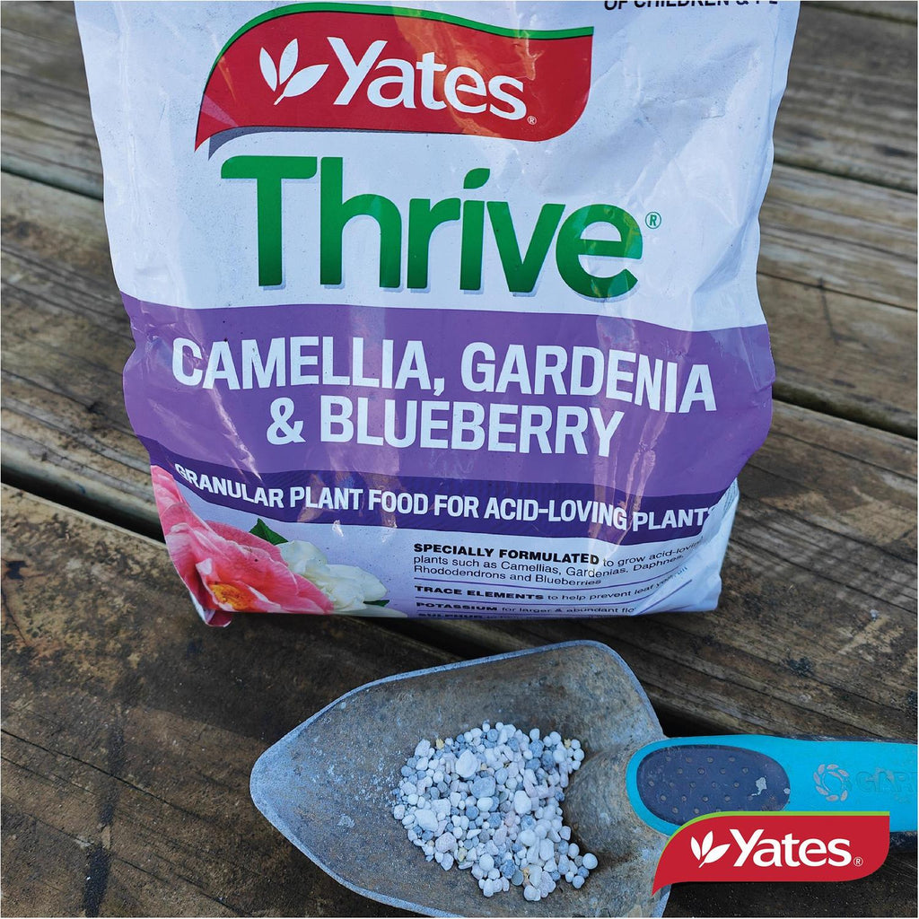 yates-thrive-camellia,-gardenia-&-blueberry-fertiliser-granules-2kg