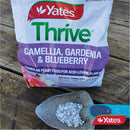 yates-thrive-camellia,-gardenia-&-blueberry-fertiliser-granules-2kg