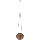 botanicals-collection-kokedama-indoor-plant-hanger-small