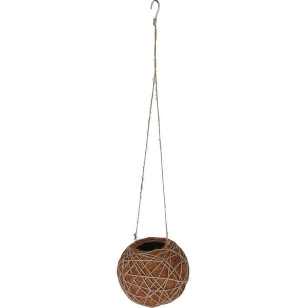 botanicals-collection-kokedama-indoor-plant-hanger-large